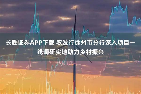 长胜证券APP下载 农发行徐州市分行深入项目一线调研实地助力乡村振兴