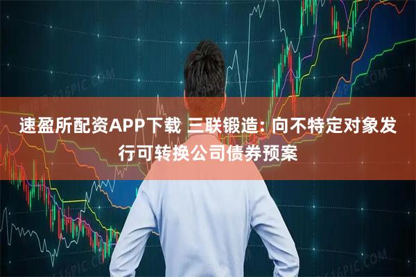 速盈所配资APP下载 三联锻造: 向不特定对象发行可转换公司债券预案
