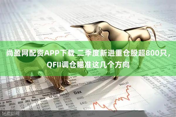 尚盈网配资APP下载 二季度新进重仓股超800只，QFII调仓瞄准这几个方向