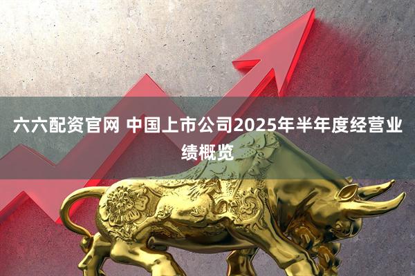 六六配资官网 中国上市公司2025年半年度经营业绩概览